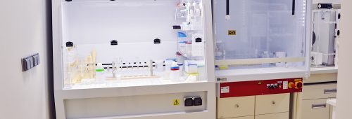 Processed with VSCO with h3 preset