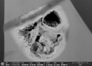 Grains nanométriques de platine